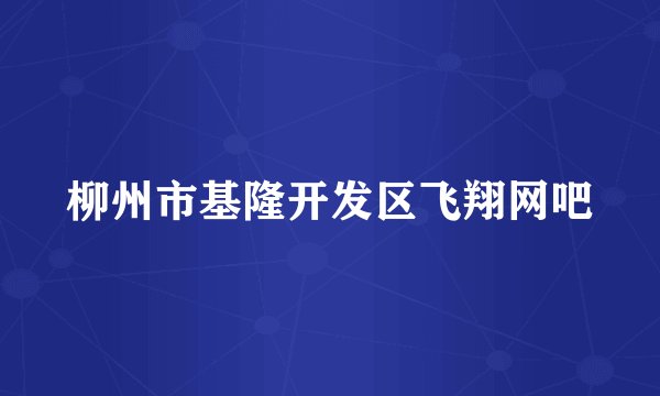 柳州市基隆开发区飞翔网吧