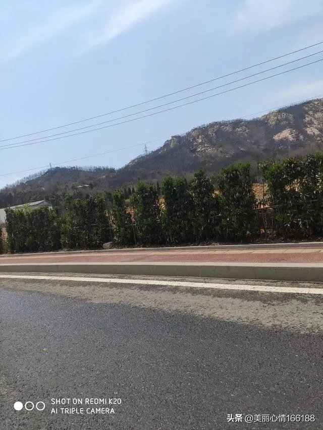 西海岸大火怎么着起来的？