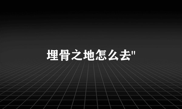 埋骨之地怎么去