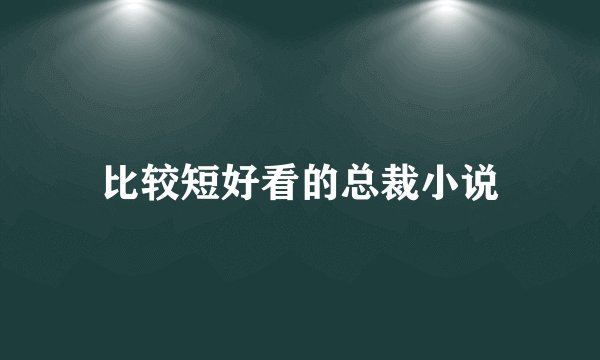 比较短好看的总裁小说