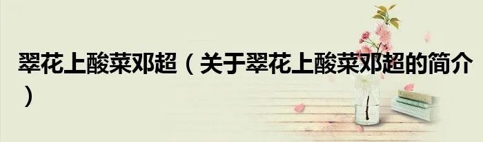 翠花上酸菜邓超(关于翠花上酸菜邓超的简介)