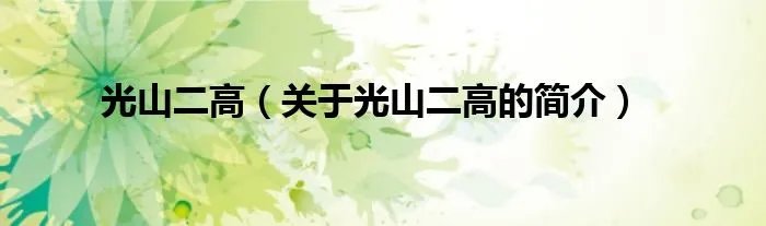 光山二高（关于光山二高的简介）
