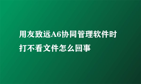 用友致远A6协同管理软件时打不看文件怎么回事