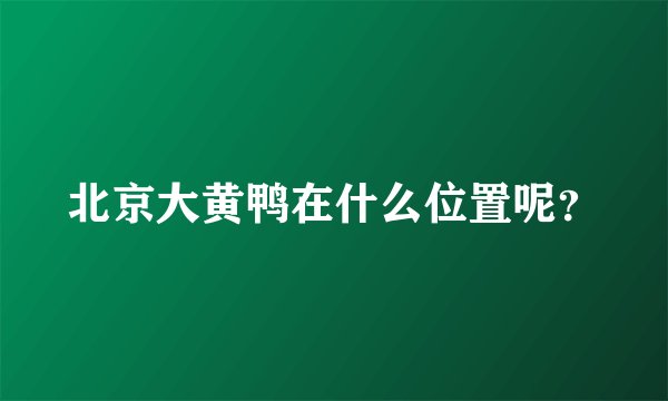 北京大黄鸭在什么位置呢？