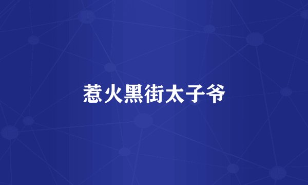惹火黑街太子爷