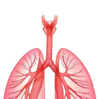 什么是肺癌生物治疗