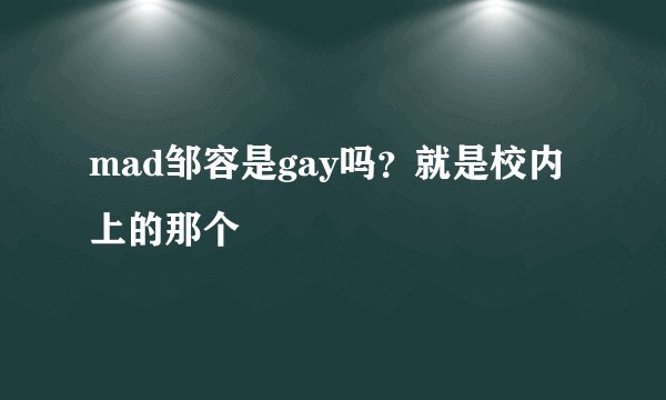 mad邹容是gay吗？就是校内上的那个