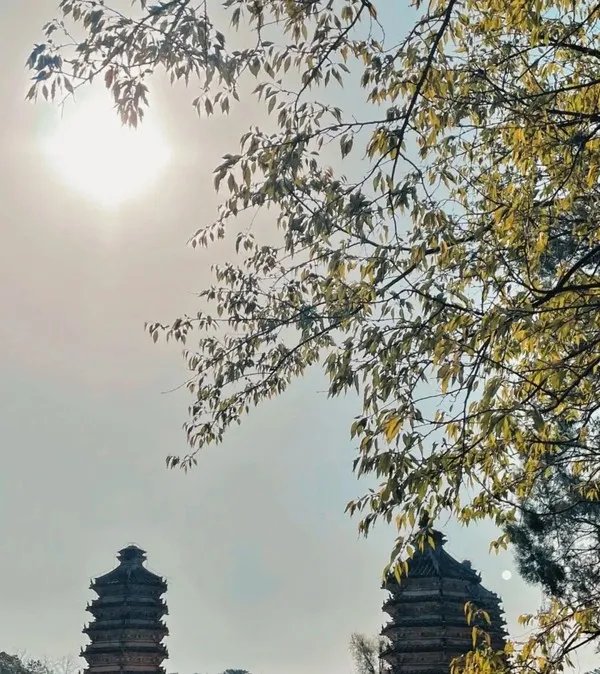 五一去哪玩?北京这7个地方景美、人少、好出片!