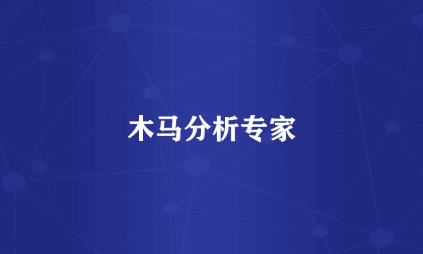 木马分析专家