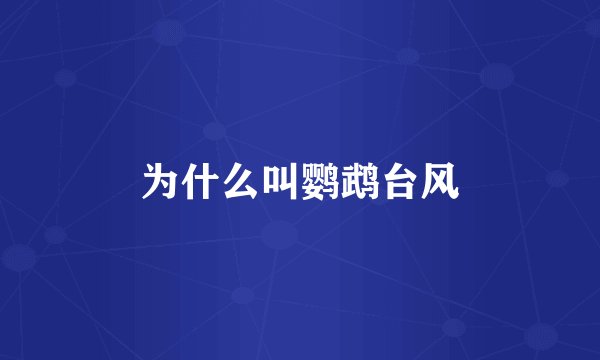 为什么叫鹦鹉台风