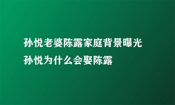 孙悦老婆陈露家庭背景曝光 孙悦为什么会娶陈露