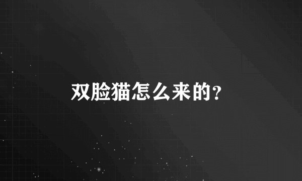 双脸猫怎么来的?