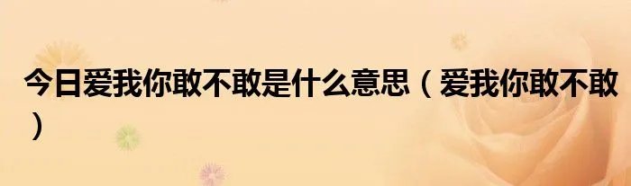 今日爱我你敢不敢是什么意思（爱我你敢不敢）