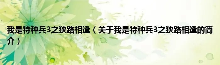 我是特种兵3之狭路相逢(关于我是特种兵3之狭路相逢的简介)