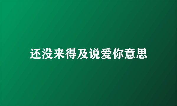 还没来得及说爱你意思
