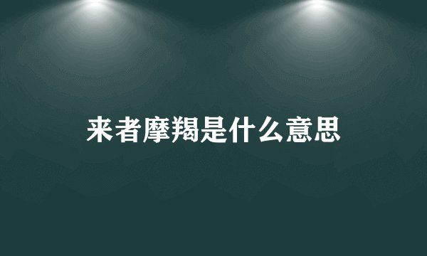 来者摩羯是什么意思