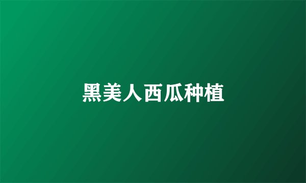 黑美人西瓜种植