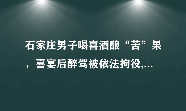 石家庄男子喝喜酒酿“苦”果，喜宴后醉驾被依法拘役, 你怎么看？