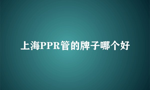 上海PPR管的牌子哪个好