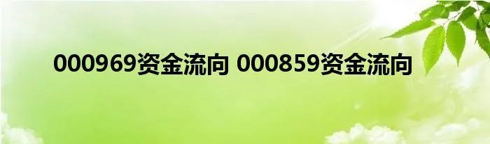 000969资金流向 000859资金流向