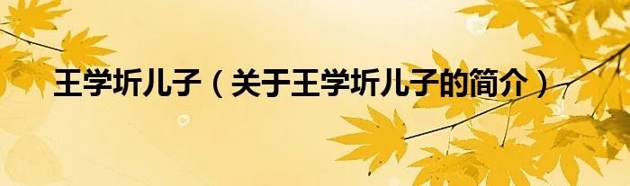 王学圻儿子（关于王学圻儿子的简介）