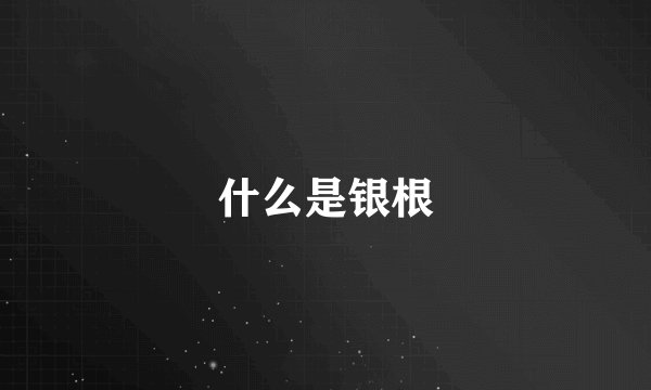 什么是银根