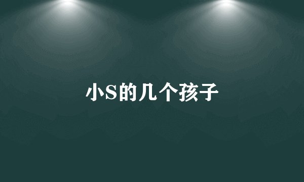 小S的几个孩子