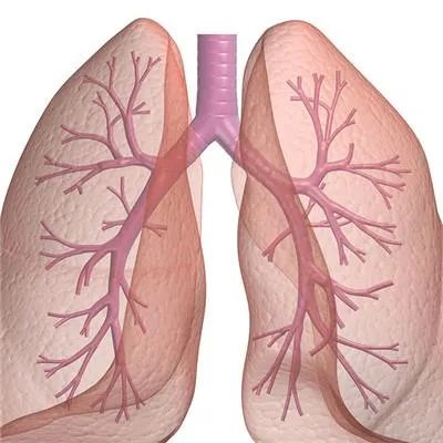 什么是肺癌生物治疗
