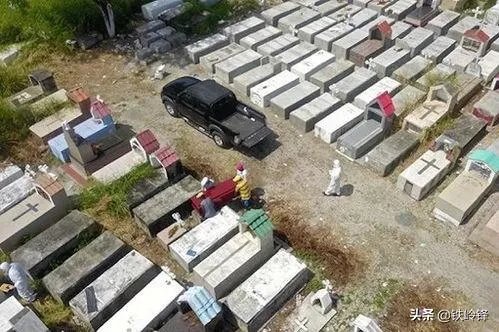 新冠确诊超61万，巴西总统也威胁要退出世卫，对此你怎么看？