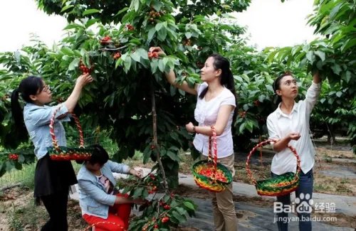 端午节怎么发朋友圈?