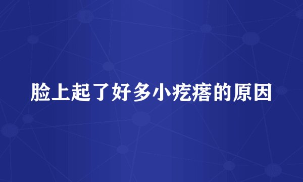 脸上起了好多小疙瘩的原因
