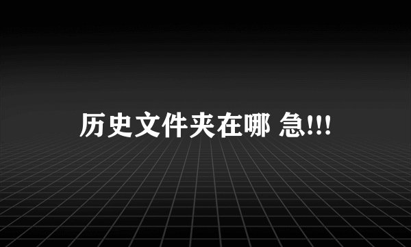 历史文件夹在哪 急!!!