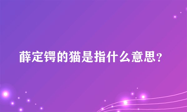 薛定锷的猫是指什么意思?