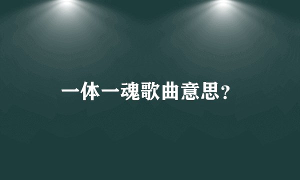 一体一魂歌曲意思？