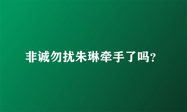 非诚勿扰朱琳牵手了吗？