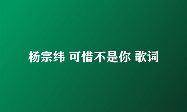 杨宗纬 可惜不是你 歌词