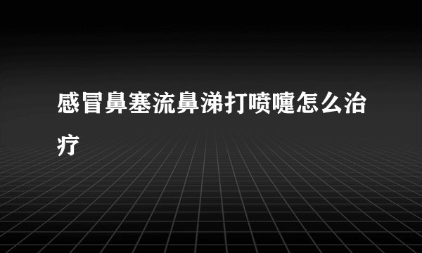 感冒鼻塞流鼻涕打喷嚏怎么治疗