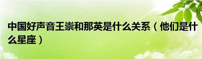中国好声音王崇和那英是什么关系（他们是什么星座）