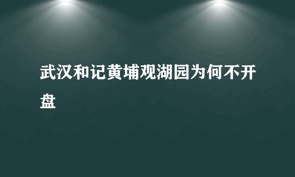 武汉和记黄埔观湖园为何不开盘
