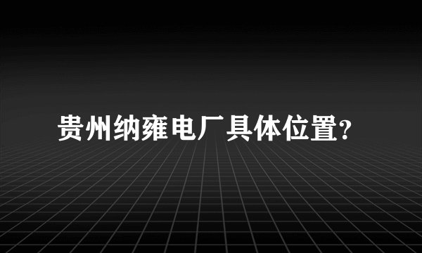 贵州纳雍电厂具体位置？