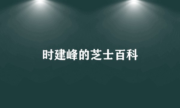 时建峰的芝士百科