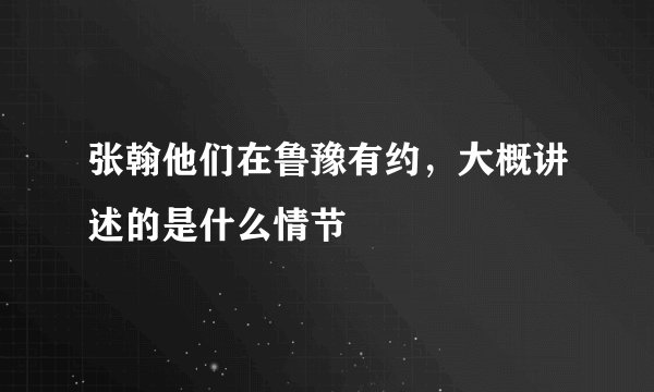 张翰他们在鲁豫有约，大概讲述的是什么情节