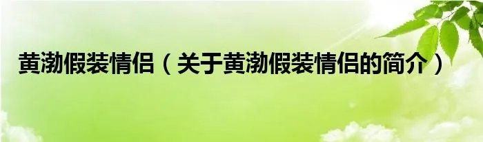 黄渤假装情侣（关于黄渤假装情侣的简介）