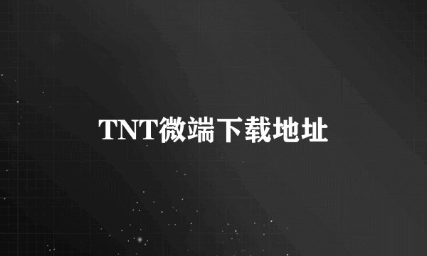TNT微端下载地址
