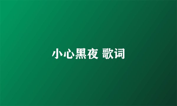 小心黑夜 歌词