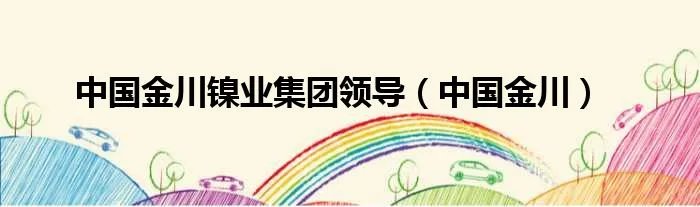 中国金川镍业集团领导（中国金川）