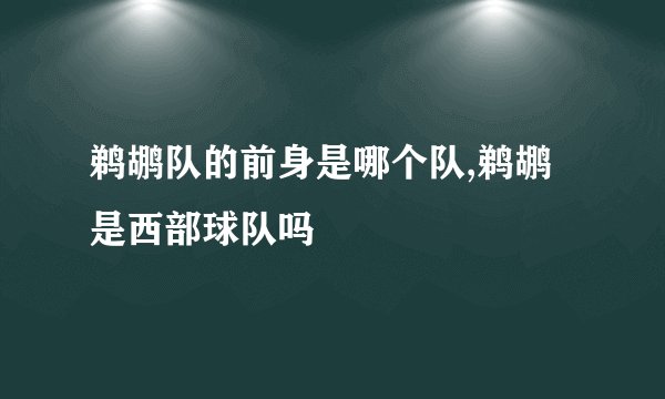 鹈鹕队的前身是哪个队,鹈鹕是西部球队吗