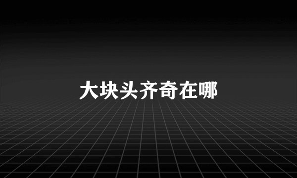 大块头齐奇在哪