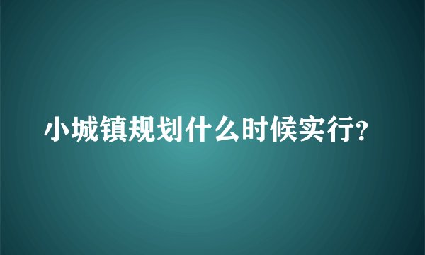 小城镇规划什么时候实行？
