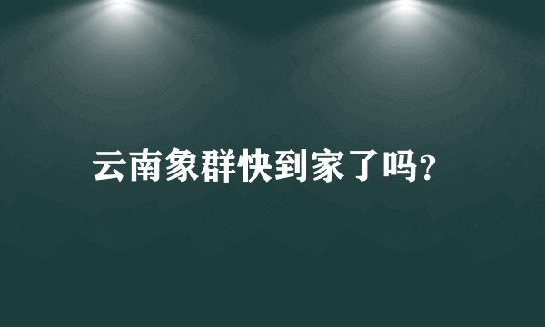 云南象群快到家了吗?